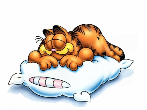 Garfield-Sleepy